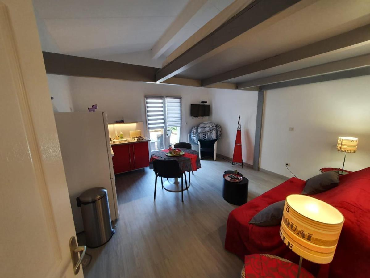 Dormir A Montauban Logements Carreyrat Calme Et Verdoyant 외부 사진