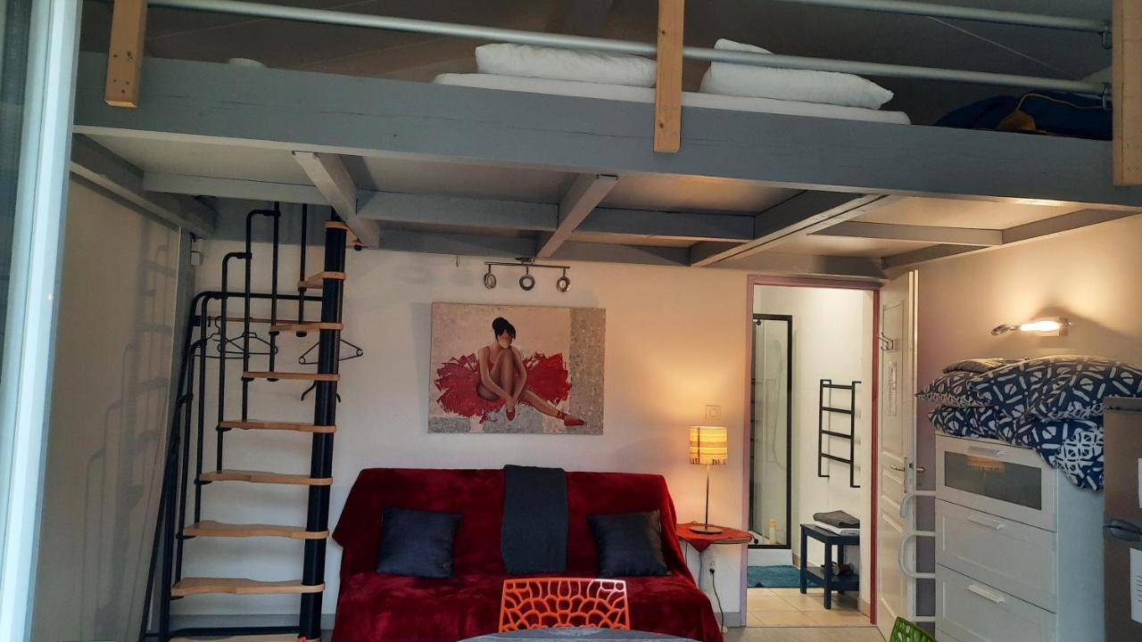 Dormir A Montauban Logements Carreyrat Calme Et Verdoyant 외부 사진